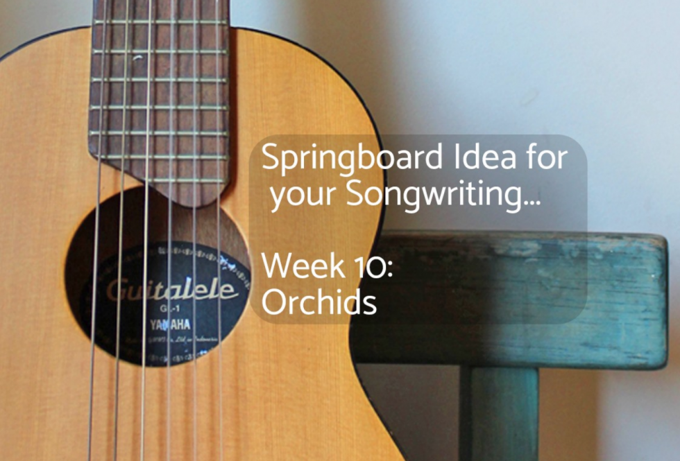 Songwriting Springboard: Orchids - Shelly Brown